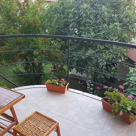 Veselina Maison d'hôtes 3*
