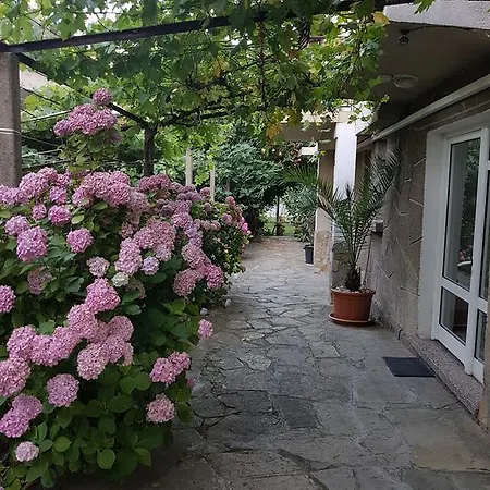 Guest house Veselina Primorsko
