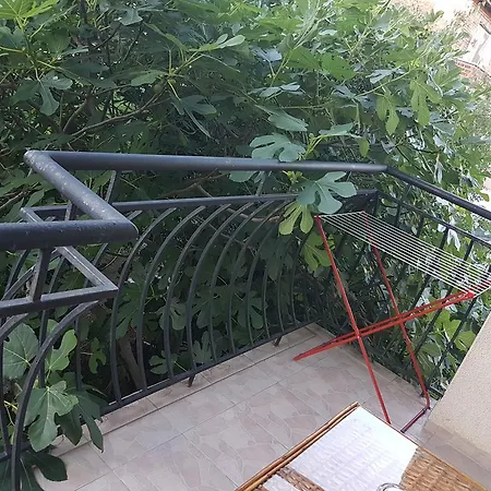 Guest house Veselina
