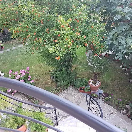 Guest house Veselina *