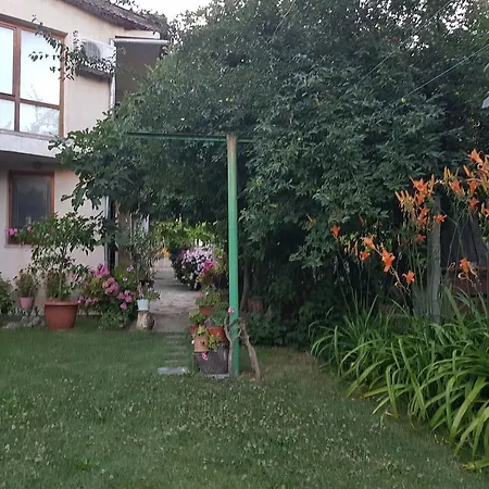 Veselina بريمورسكو