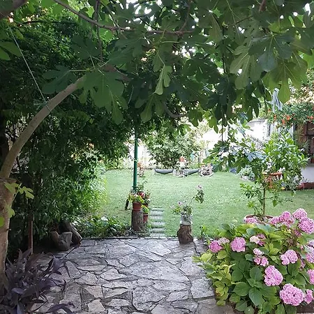 Guest house Veselina Primorsko